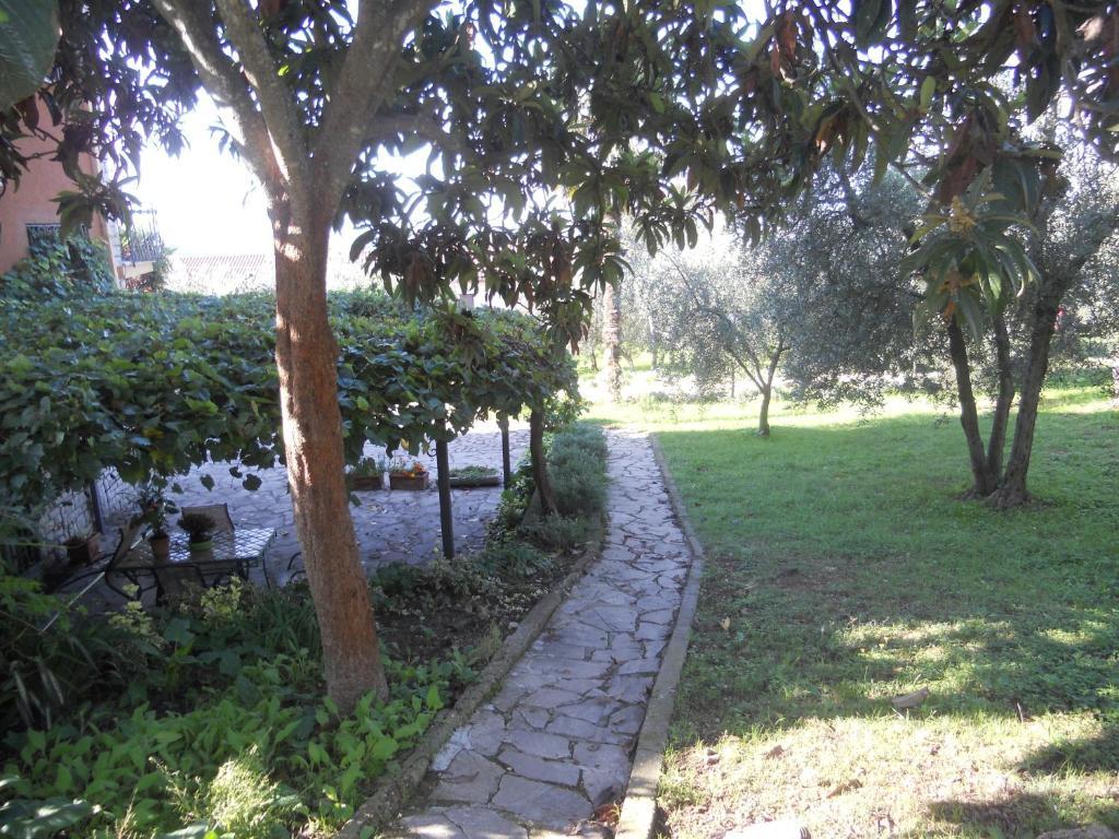 L'Uliveto Villa Montebuono  Exterior photo